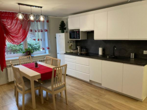 Apartament z widokiem na Szrenicę w sercu Szklarskiej Poręby, Szklarska Poręba